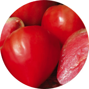 Tomates Cauralina
