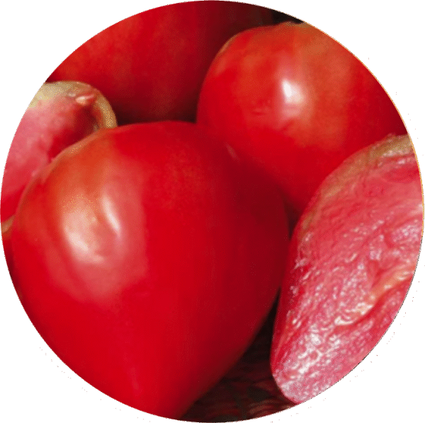 Tomates Cauralina