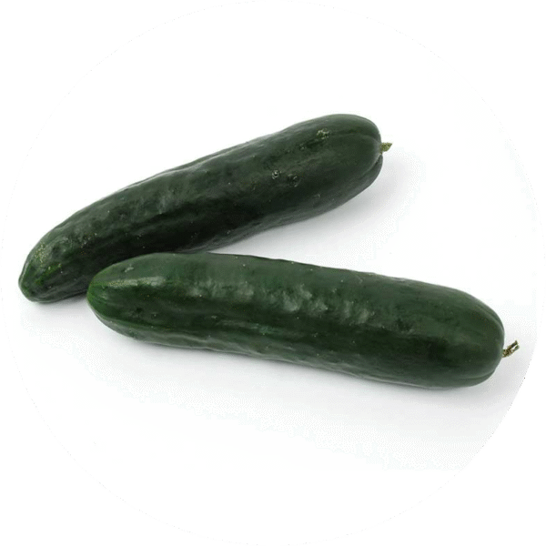 Concombre